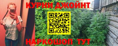 мдпв Татарск
