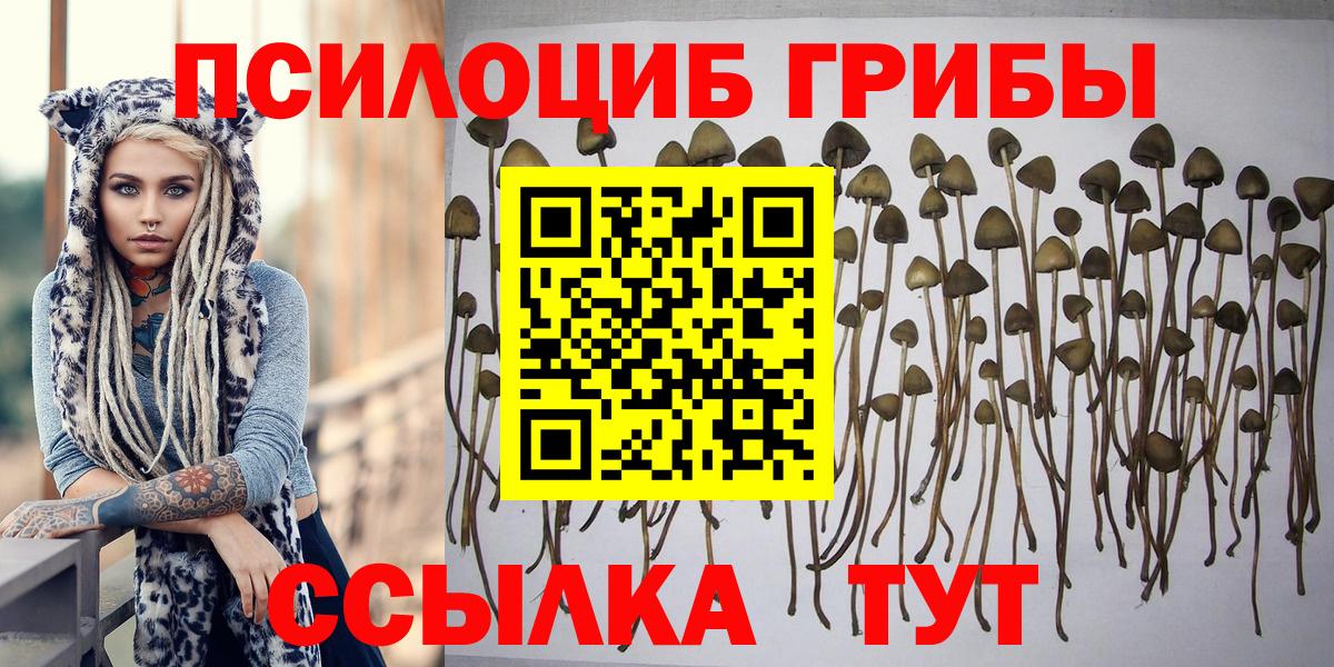 Галлюциногенные грибы мицелий Свободный