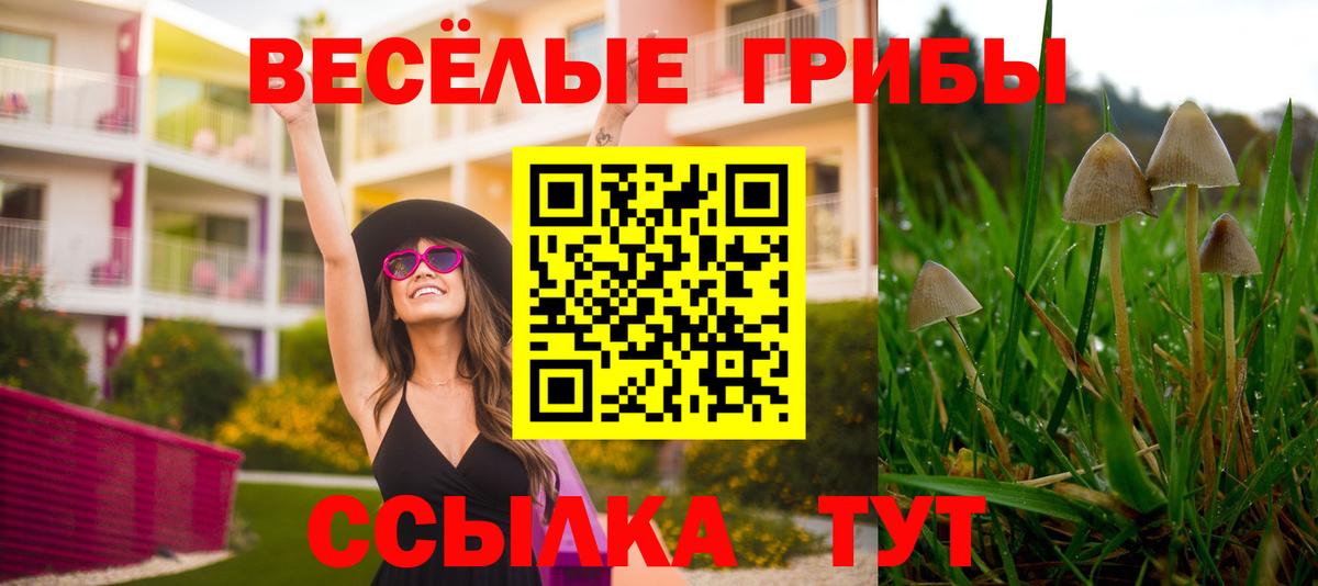 закладки  Вход с VPN  Свободный  Галлюциногенные грибы Cubensis  Псилоцибиновые грибы мухоморы 